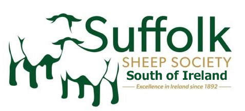 Suffolk Sheep Ireland